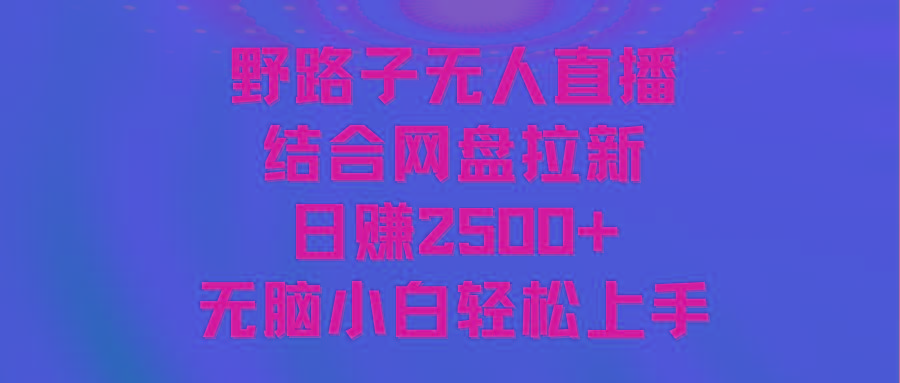 无人直播野路子结合网盘拉新，日赚2500+多平台变现，小白无脑轻松上手操作-一新网创