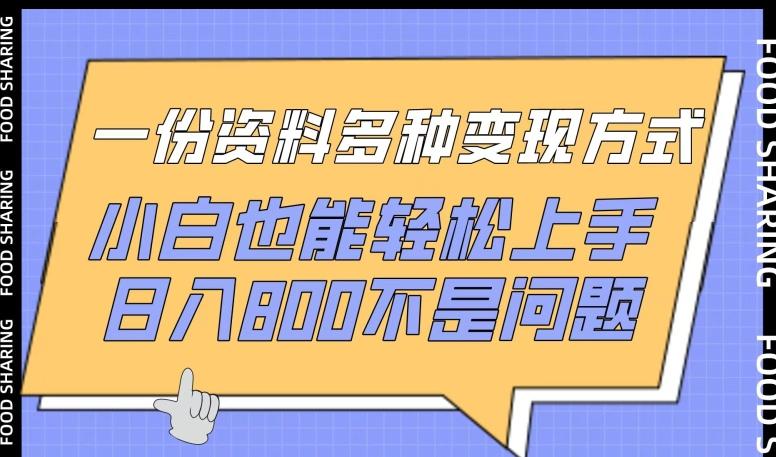 一份资料多种变现方式，小白也能轻松上手，日入800不是问题【揭秘】-一新网创