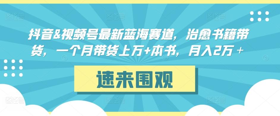 抖音&视频号最新蓝海赛道，治愈书籍带货，一个月带货上万+本书，月入2万＋【揭秘】-一新网创