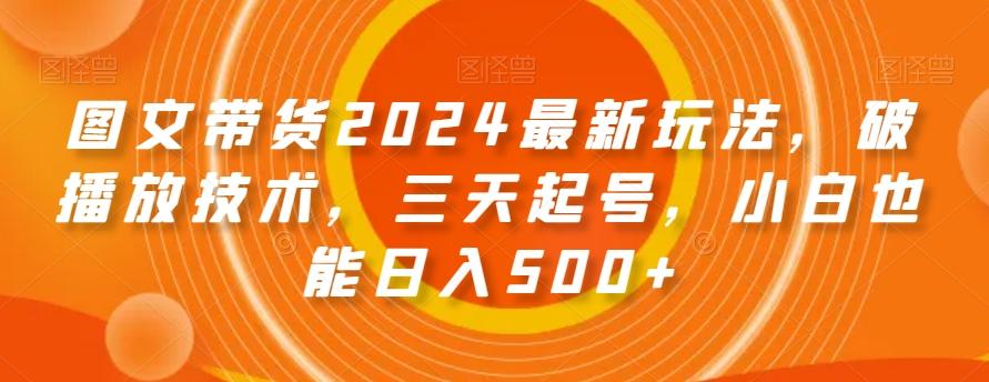 图文带货2024最新玩法，破播放技术，三天起号，小白也能日入500+【揭秘】-一新网创