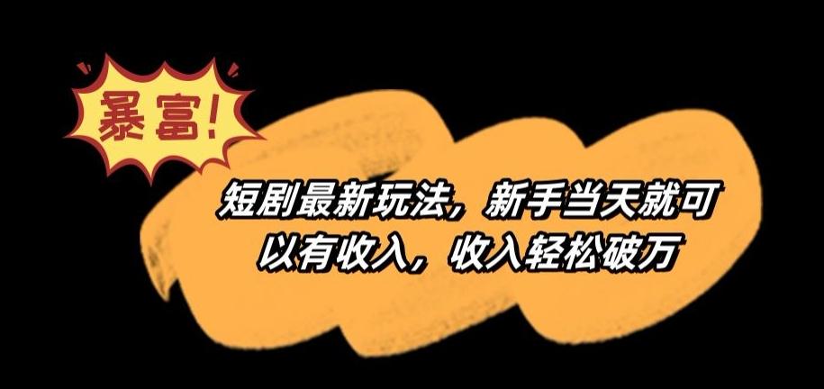 短剧最新玩法，新手当天就可以有收入，收入轻松破万【揭秘】-一新网创