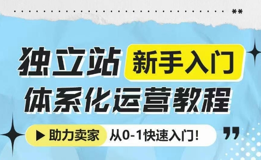 独立站新手入门体系化运营教程，助力独立站卖家从0-1快速入门!-一新网创