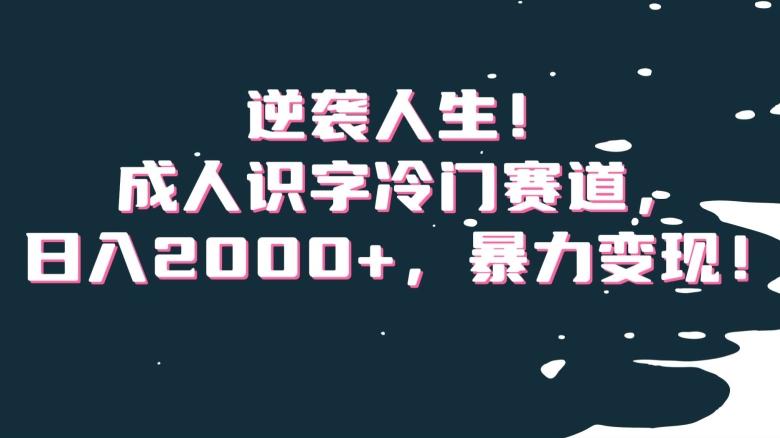 逆袭人生！成人识字冷门赛道，日入2000+，暴力变现！【揭秘】-一新网创