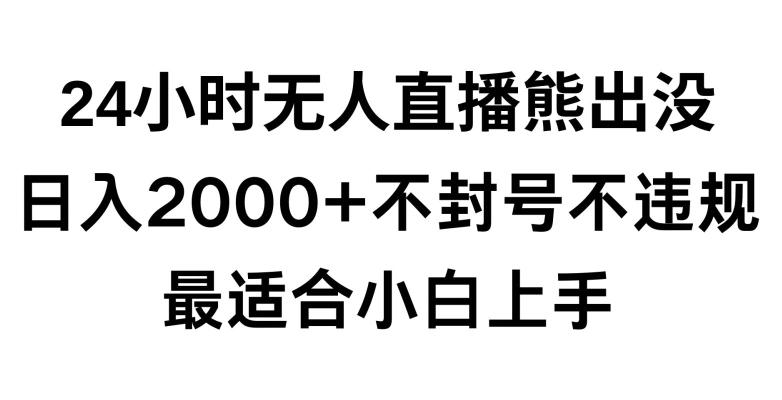 快手24小时无人直播熊出没，不封直播间，不违规，日入2000+，最适合小白上手，保姆式教学【揭秘】-一新网创