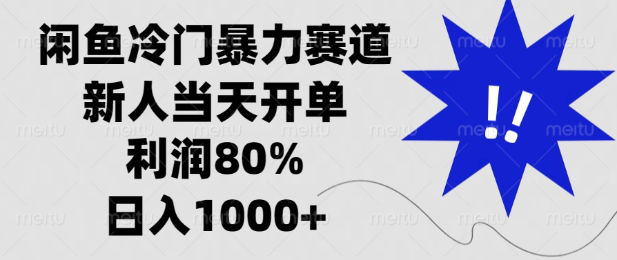 闲鱼冷门暴力赛道，新人当天开单，利润80%，日入1000+-一新网创