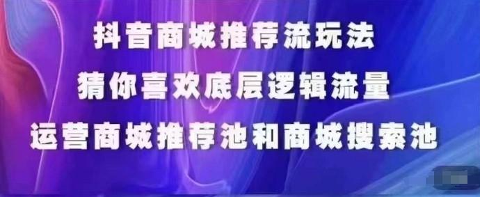抖音商城运营课程，猜你喜欢入池商城搜索商城推荐人群标签覆盖-一新网创