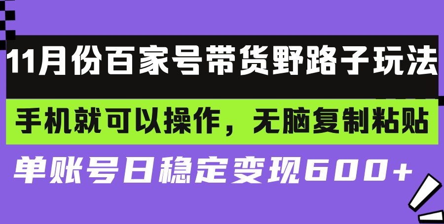 百家号带货野路子玩法 手机就可以操作，无脑复制粘贴 单账号日稳定变现...-一新网创