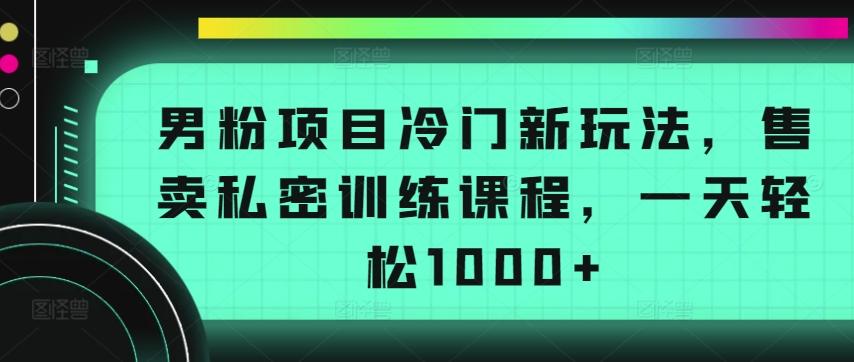 男粉项目冷门新玩法，售卖私密训练课程，一天轻松1000+【揭秘】-一新网创
