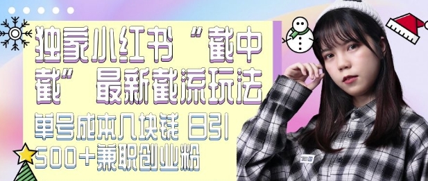 最新小红书截流玩法 独家截中截 单号成本几块钱 日引500+CY粉JZ粉-一新网创