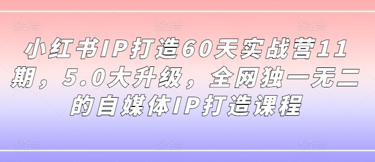 小红书IP打造60天实战营11期，5.0大升级，全网独一无二的自媒体IP打造课程-一新网创