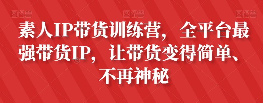 素人IP带货训练营，全平台最强带货IP，让带货变得简单、不再神秘-一新网创