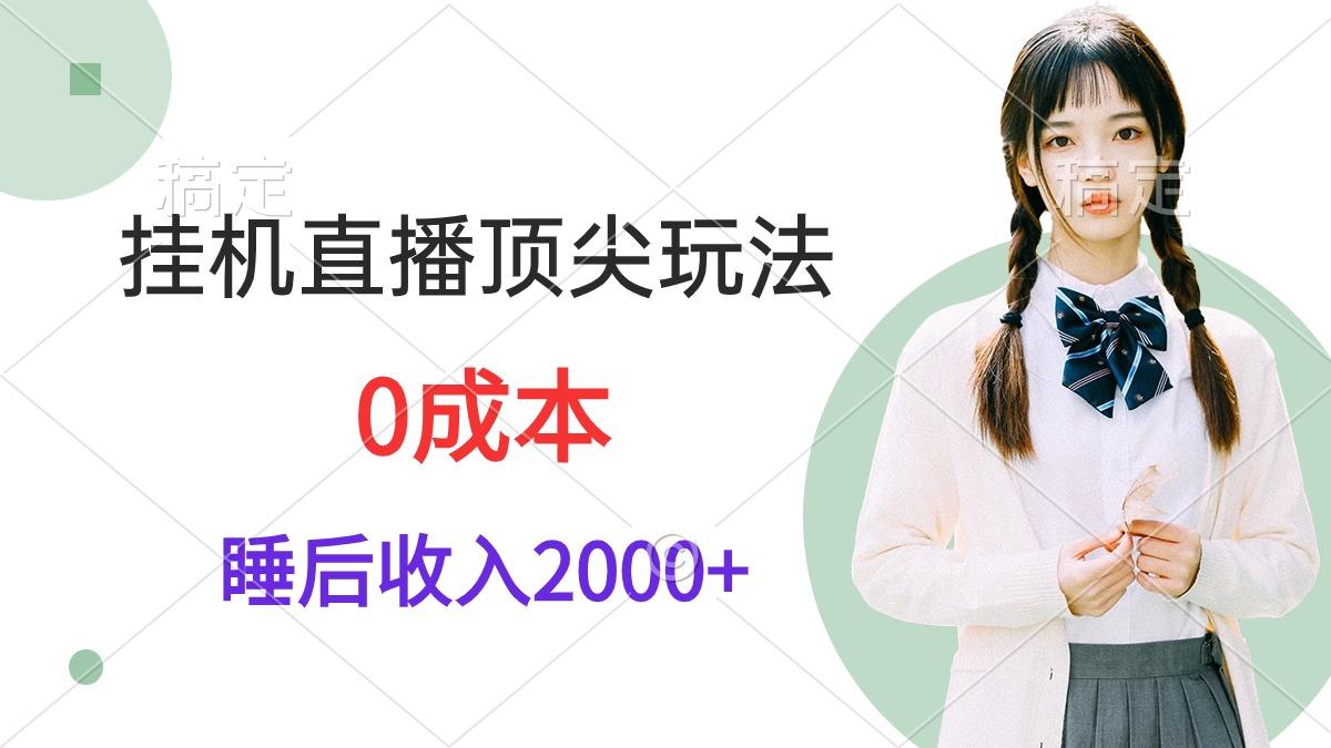 (9715期)挂机直播顶尖玩法，睡后日收入2000+、0成本，视频教学-一新网创