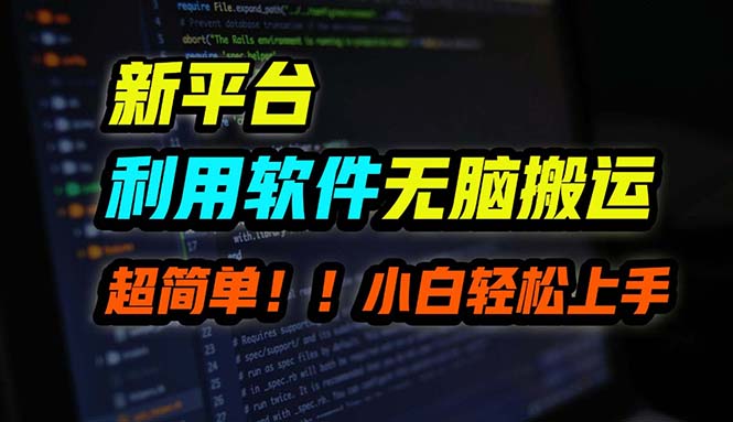 B站平台用软件无脑搬运，月赚10000+，小白也能轻松上手-一新网创
