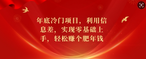 年底冷门项目，利用信息差，实现零基础上手，轻松赚个肥年钱【揭秘】-一新网创