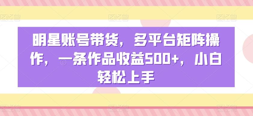 明星账号带货，多平台矩阵操作，一条作品收益500+，小白轻松上手【揭秘】-一新网创