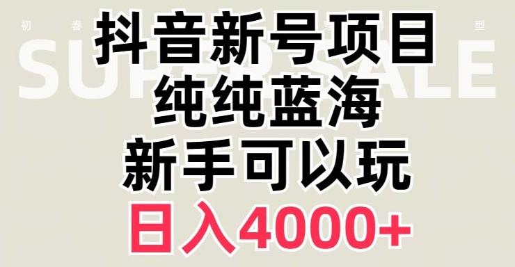 抖音蓝海赛道，必须是新账号，日入4000+【揭秘】-一新网创