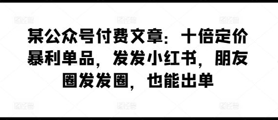 某公众号付费文章：十倍定价暴利单品，发发小红书，朋友圈发发圈，也能出单-一新网创