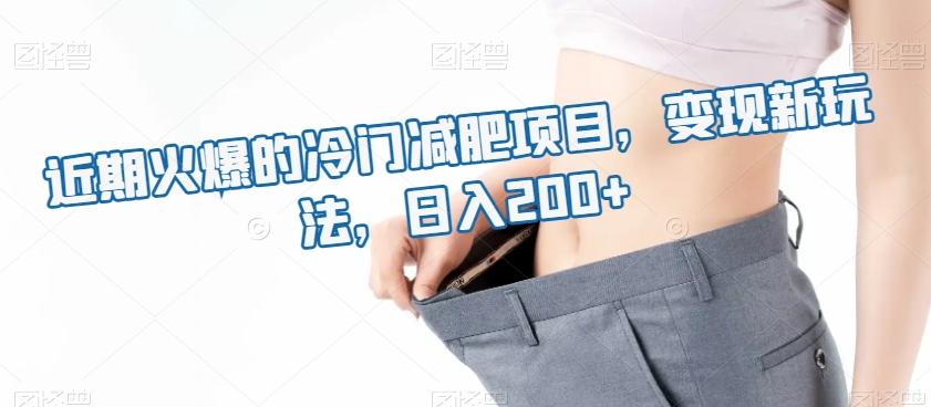 近期火爆的冷门减肥项目，变现新玩法，日入200+-一新网创