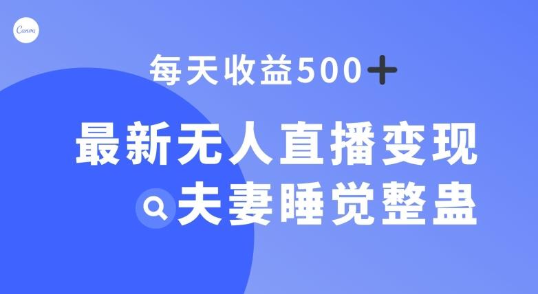 最新无人直播变现，夫妻睡觉整蛊，每天躺赚500+【揭秘】-一新网创