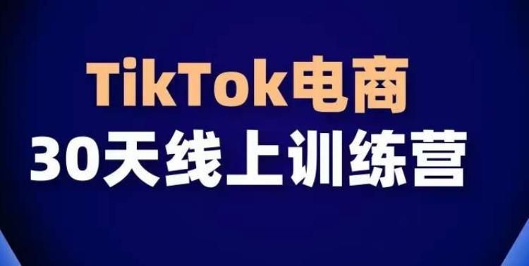 TikTok电商带货30天线上课，不可错过的全球流量洼地！-一新网创