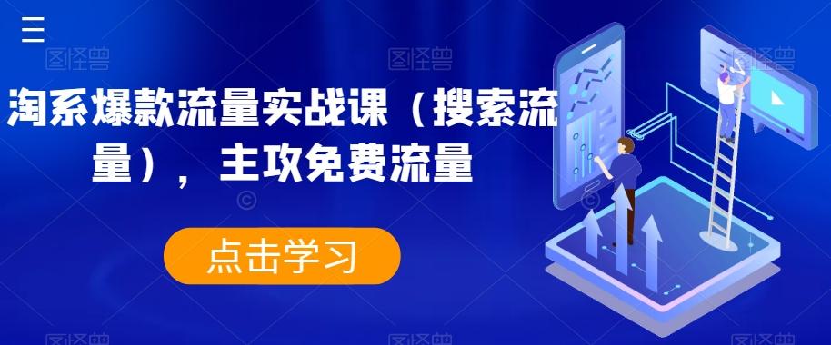 淘系爆款流量实战课（搜索流量），主攻免费流量-一新网创