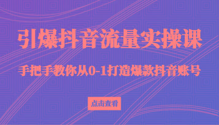 引爆抖音流量实操课，手把手教你从0-1打造爆款抖音账号(27节课)-一新网创