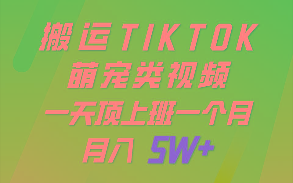 一键搬运TIKTOK萌宠类视频，一部手机即可操作，所有平台均可发布 轻松月入5W+-一新网创