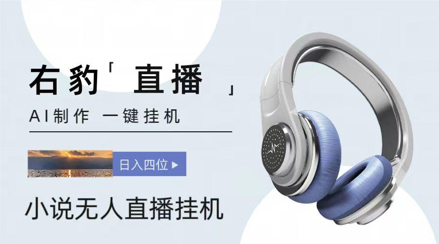 右豹小说无人直播挂机吸金项目，简单易行收益稳定， 月入1000+-一新网创