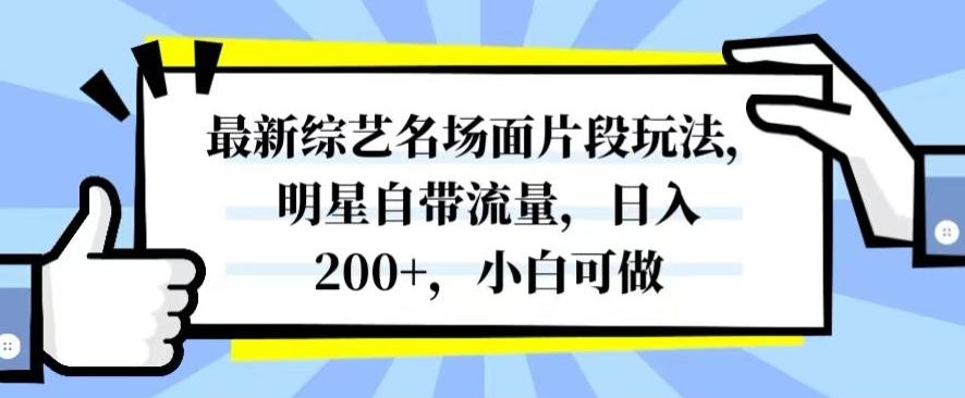 最新综艺名场面片段玩法，明星自带流量，日入200+，小白可做【揭秘】-一新网创