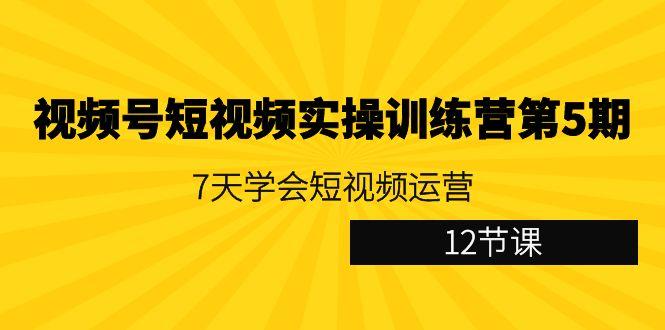 视频号短视频实操训练营第5期：7天学会短视频运营(12节课)-一新网创