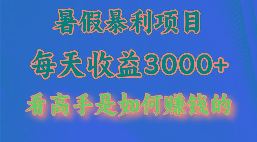 暑假暴力项目 1天收益3000+，视频号，快手，不露脸直播.次日结算-一新网创