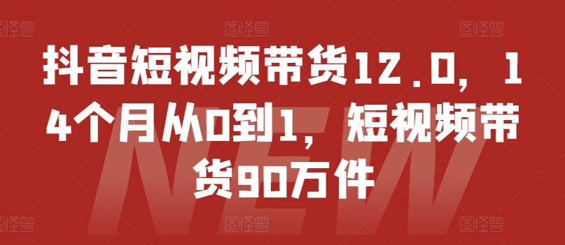 抖音短视频带货12.0，14个月从0到1，短视频带货90万件-一新网创