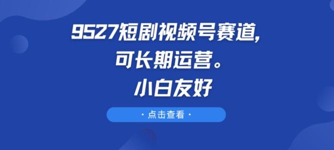 9527短剧视频号赛道，可长期运营，小白友好【揭秘】-一新网创