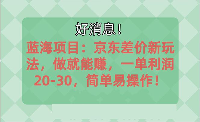 越早知道越能赚到钱的蓝海项目：京东大平台操作，一单利润20-30，简单...-一新网创