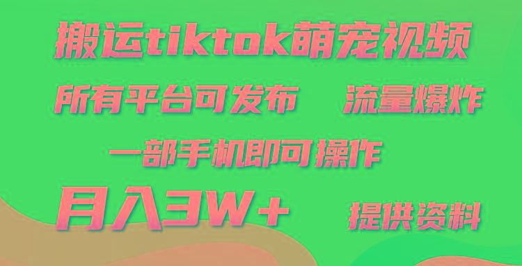 (9618期)搬运Tiktok萌宠类视频，一部手机即可。所有短视频平台均可操作，月入3W+-一新网创