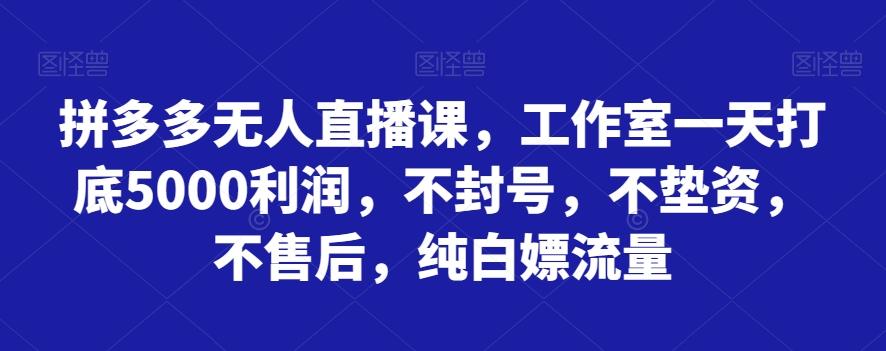 拼多多无人直播课，工作室一天打底5000利润，不封号，不垫资，不售后，纯白嫖流量-一新网创