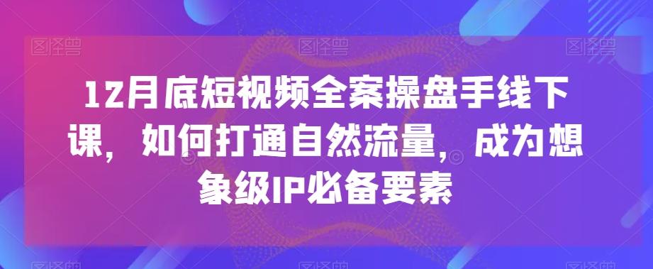 12月底短视频全案操盘手线下课，如何打通自然流量，成为想象级IP必备要素-一新网创