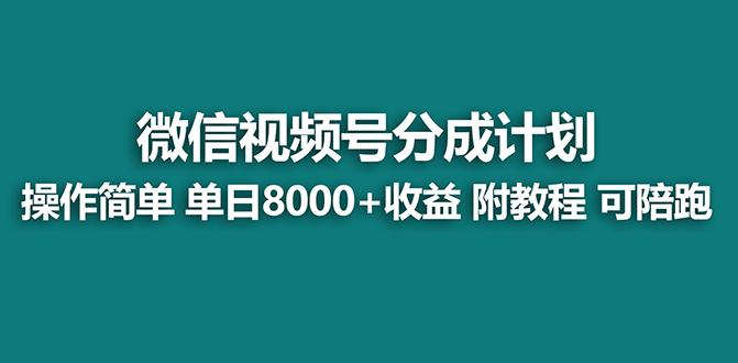【蓝海项目】视频号分成计划最新玩法，单天收益8000+，附玩法教程，24年...-一新网创