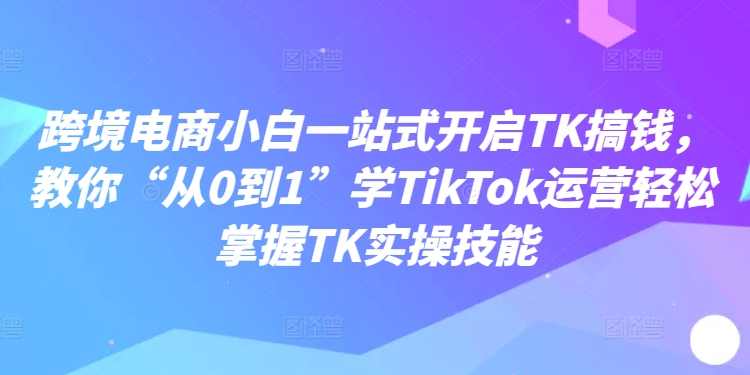 跨境电商小白一站式开启TK搞钱，教你“从0到1”学TikTok运营轻松掌握TK实操技能-一新网创