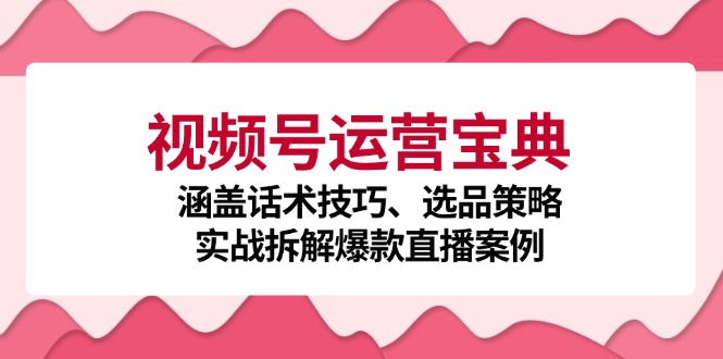 视频号运营宝典：涵盖话术技巧、选品策略、实战拆解爆款直播案例-一新网创