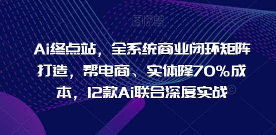 Ai终点站，全系统商业闭环矩阵打造，帮电商、实体降70%成本，12款Ai联合深度实战【0906更新】-一新网创