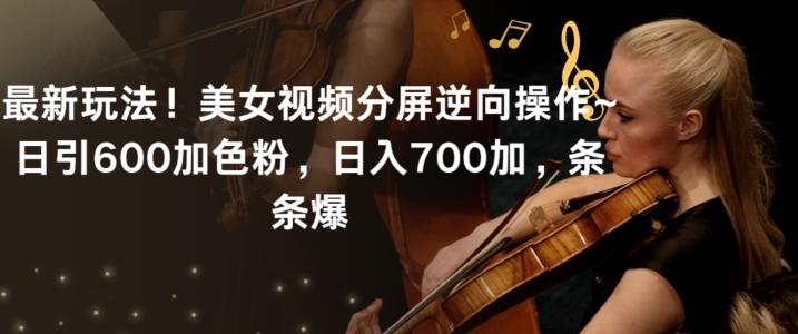 最新玩法！美女视频分屏逆向操作~日引600加色粉，日入700加，条条爆【揭秘】-一新网创