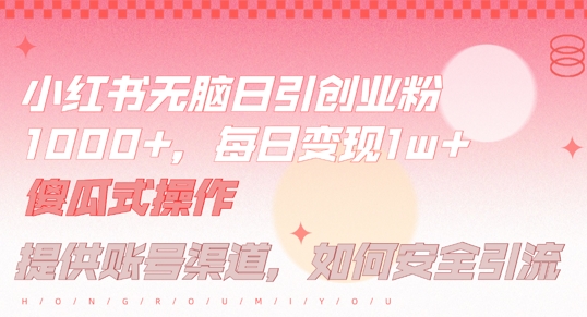 小红书无脑每日引流创业粉500+，小白每天只花半小时，躺赚长尾收益【揭秘】-一新网创