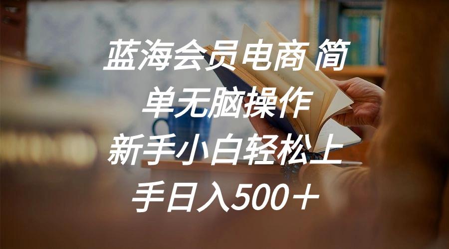 蓝海会员电商 简单无脑操作 新手小白轻松上手日入500＋-一新网创