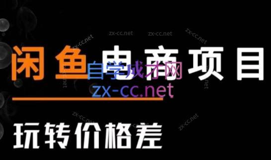 亿创繁星·闲鱼电商项目(玩转价格差)-一新网创