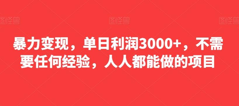 暴力变现，单日利润3000+，不需要任何经验，人人都能做的项目-一新网创