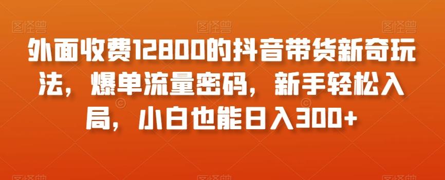 外面收费12800的抖音带货新奇玩法，爆单流量密码，新手轻松入局，小白也能日入300+【揭秘】-一新网创