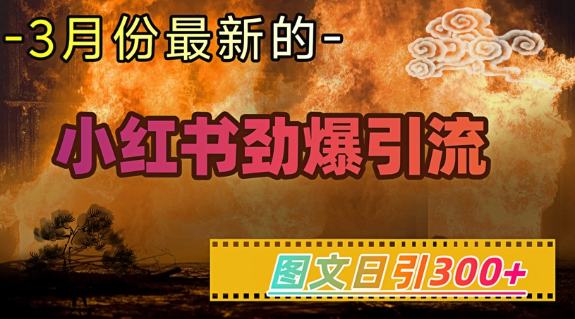 小红书超劲爆引流手段，图文日引300+轻松变现1W-一新网创
