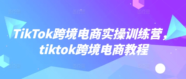 TikTok跨境电商实操训练营，tiktok跨境电商教程-一新网创