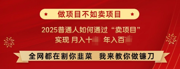 必看，做项目不如卖项目，2025普通人如何通过“卖项目”实现月入十个，年入百个-一新网创